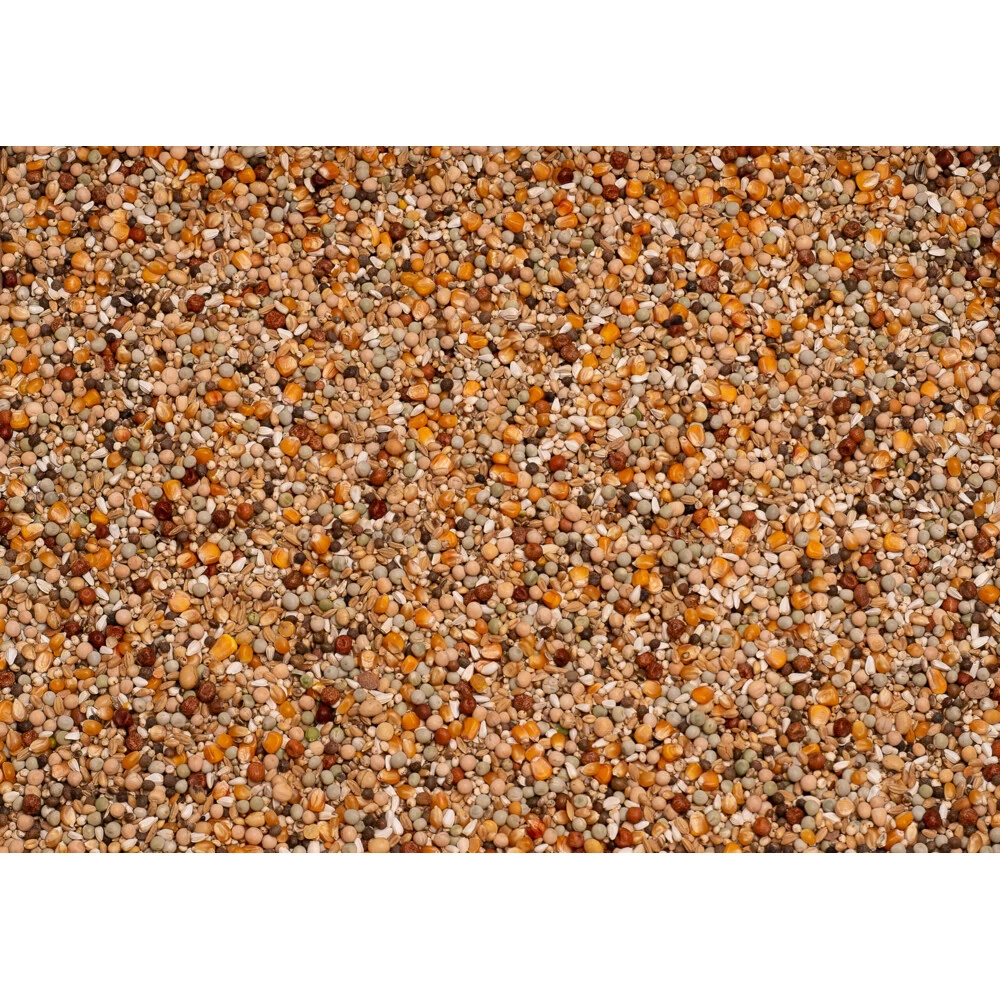 Beyers Enzymix 7/40 MS Opkweek 2 Beyers Enzymix 7/40 MS Opkweek - Afbeelding 2