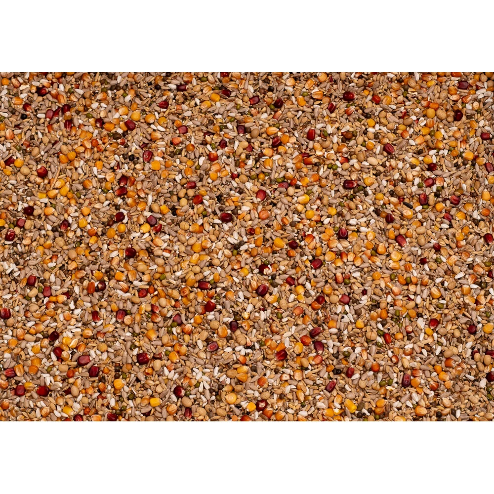 Beyers Galaxy Sport Energy 2 Beyers Galaxy Sport Energy - Afbeelding 2