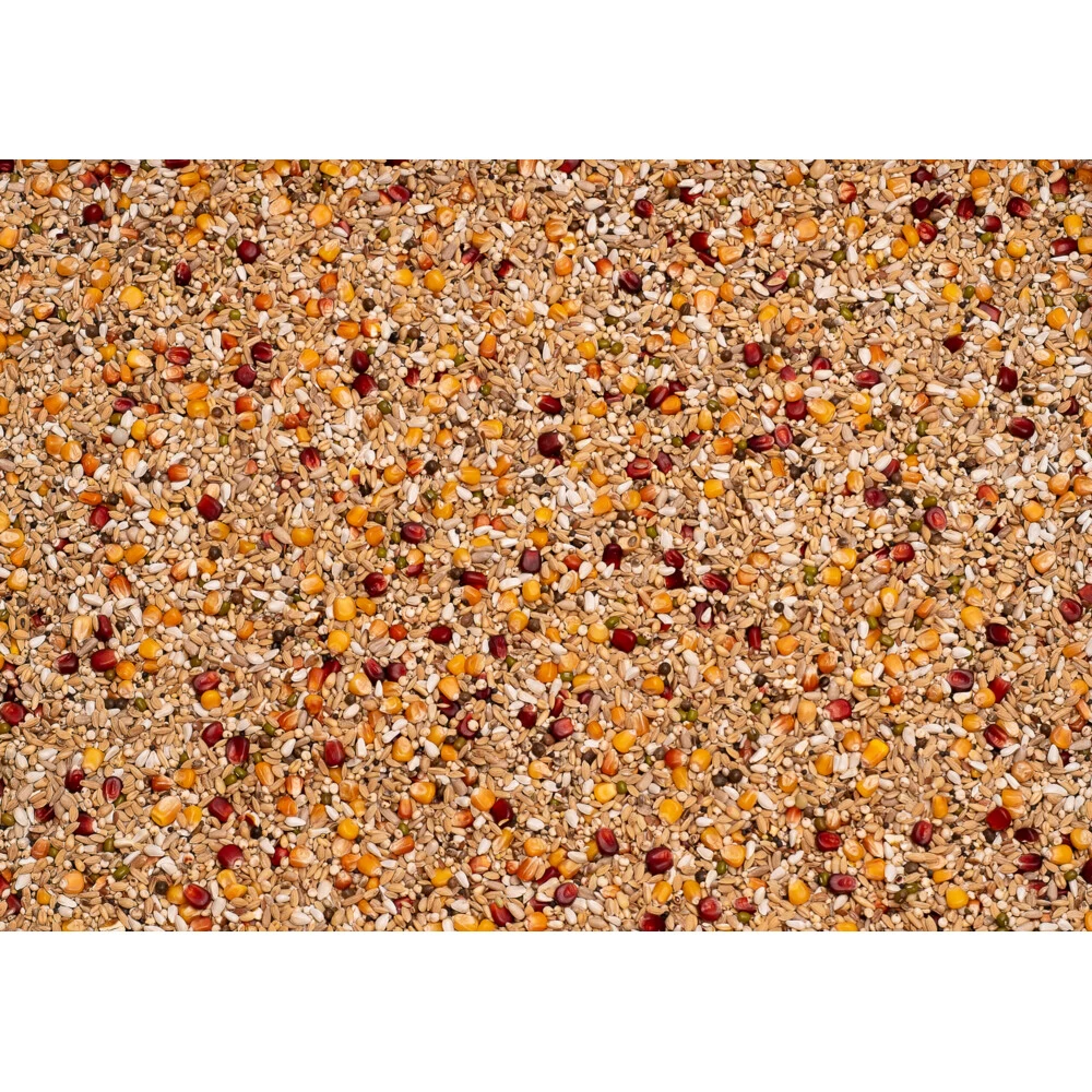 Beyers Galaxy Sport Light 2 Beyers Galaxy Sport Light - Afbeelding 2