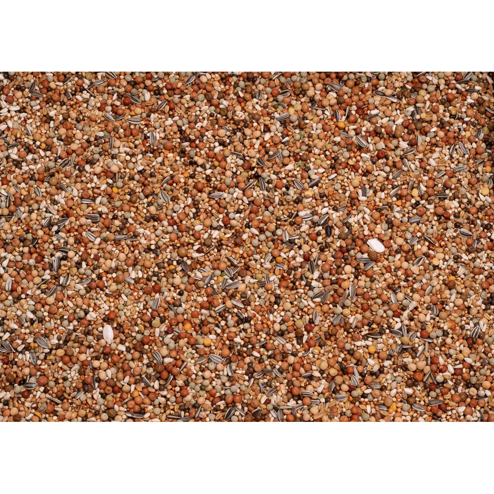 Beyers Olympia 48 Kweek & Jonge Duif Zonder Mais 2 Beyers Olympia 48 Kweek & Jonge Duif Zonder Mais - Afbeelding 2