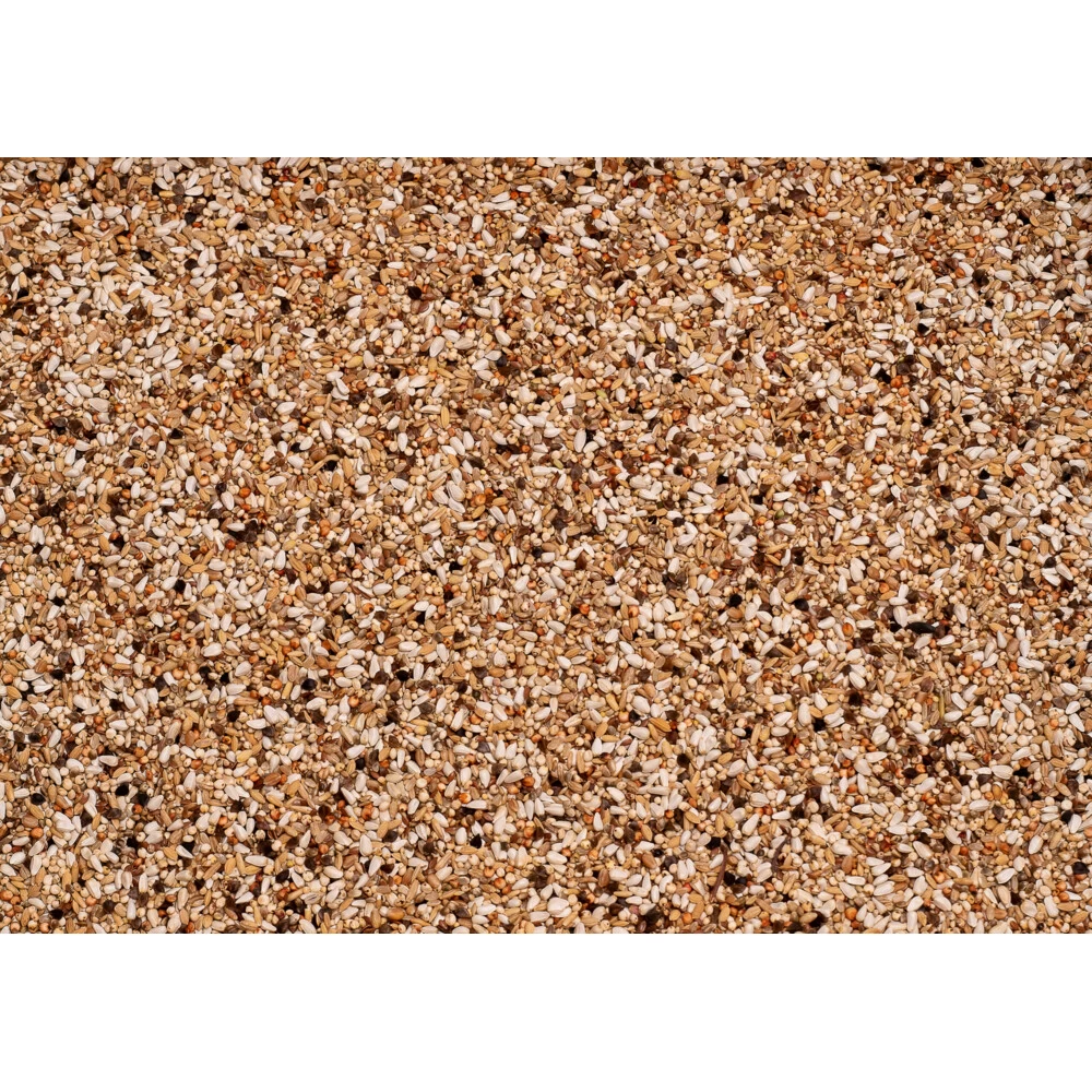 Beyers Original 24 Superdieet 2 Beyers Original 24 Superdieet - Afbeelding 2