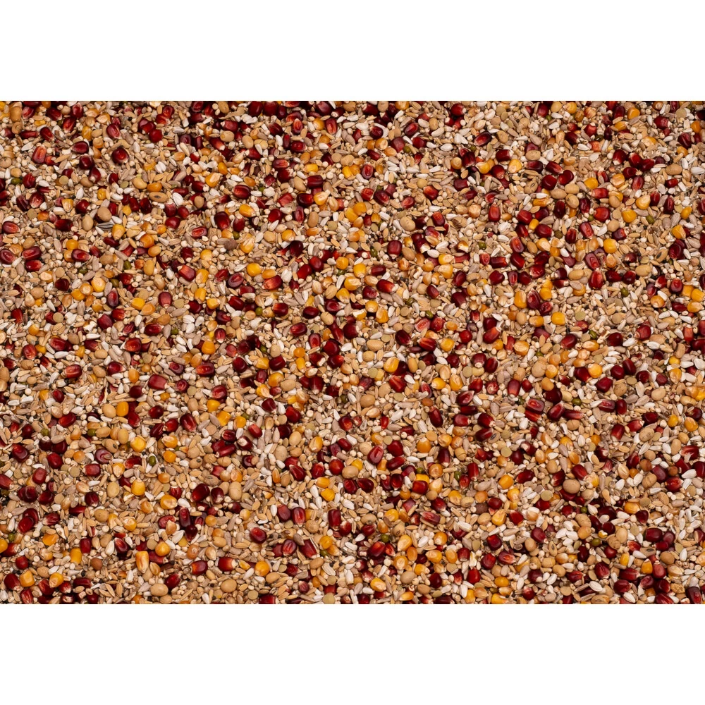 Beyers Original Enzymix Power 2 Beyers Original Enzymix Power - Afbeelding 2