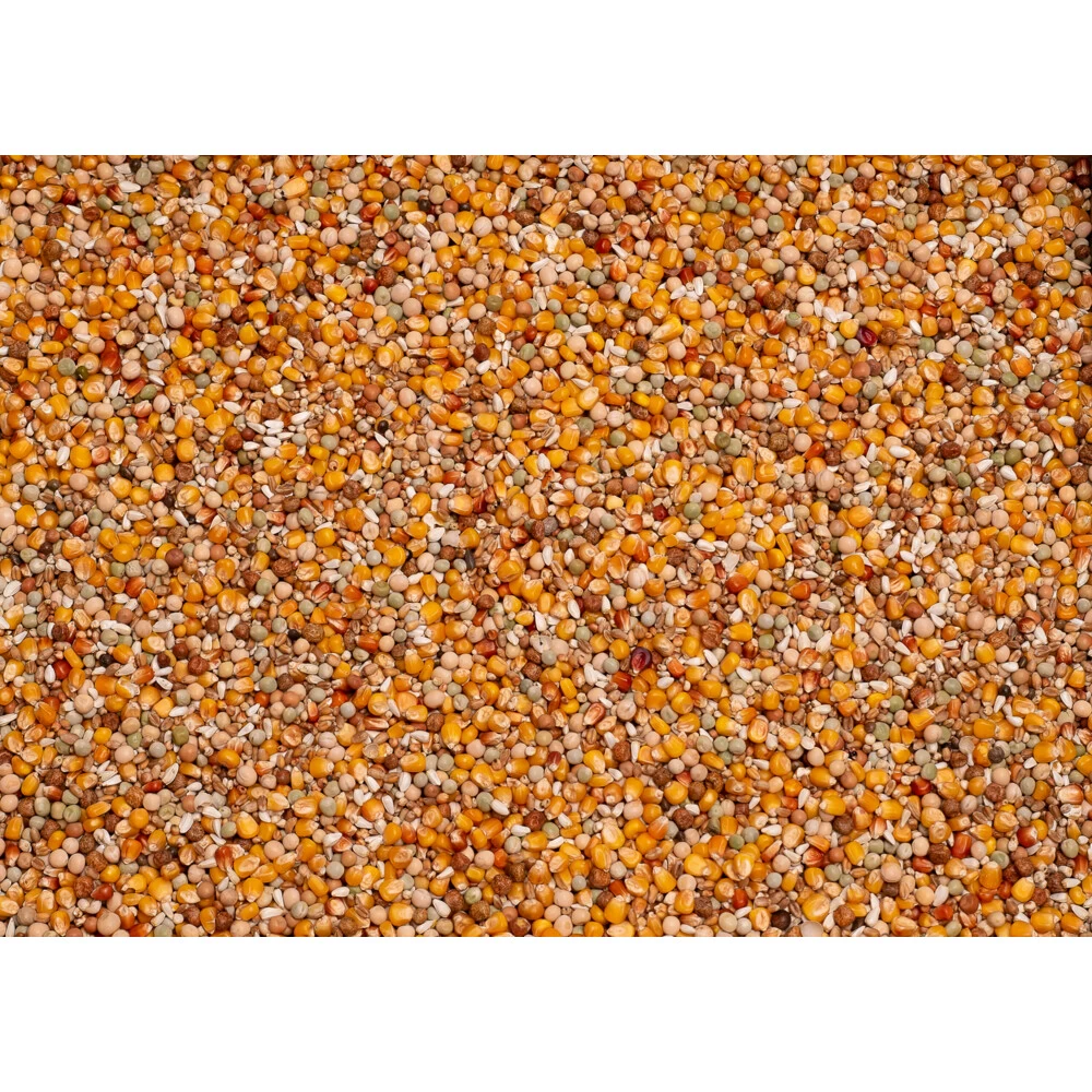 Beyers Original Sport 2 Beyers Original Sport - Afbeelding 2