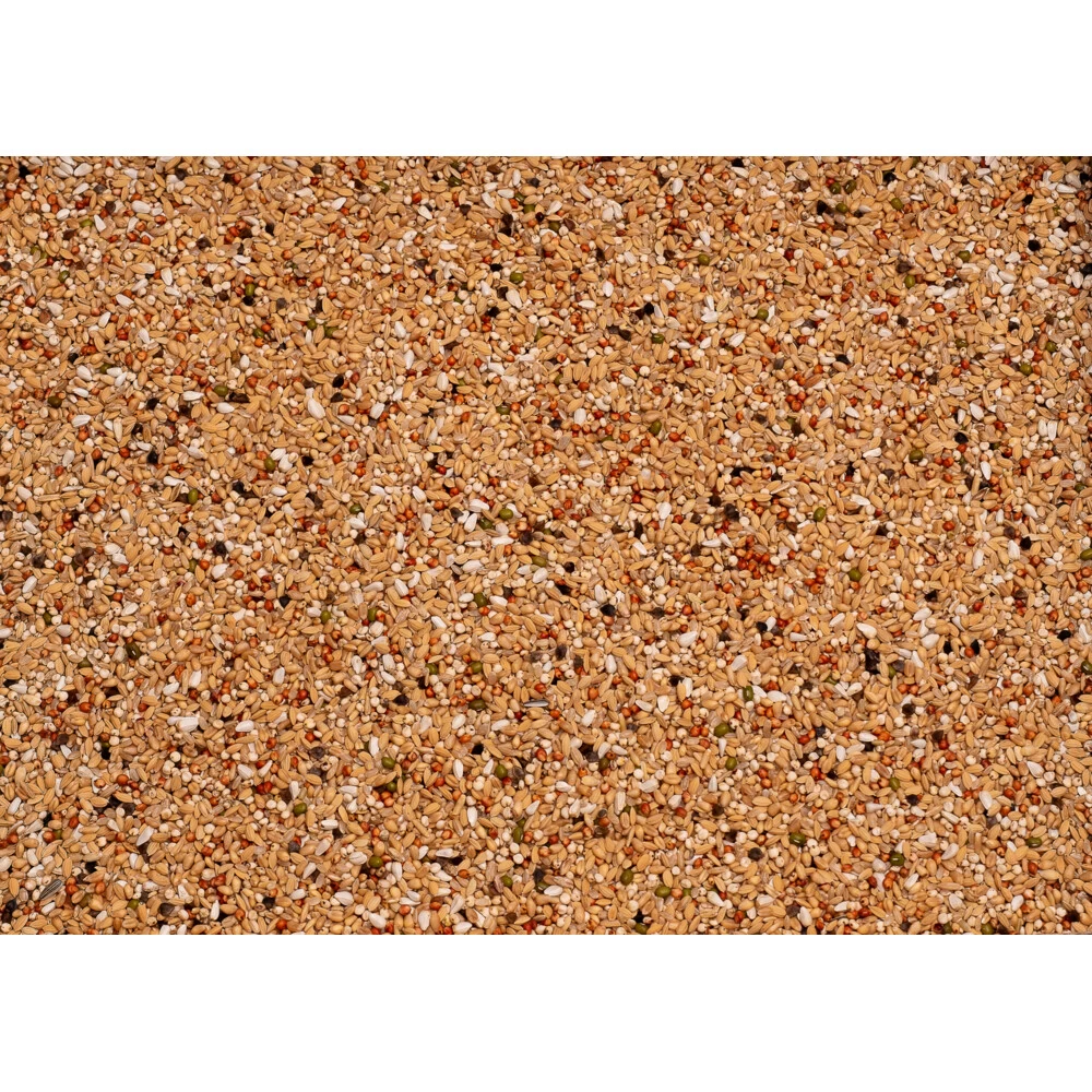 Beyers Original Superdieet 2 Beyers Original Superdieet - Afbeelding 2