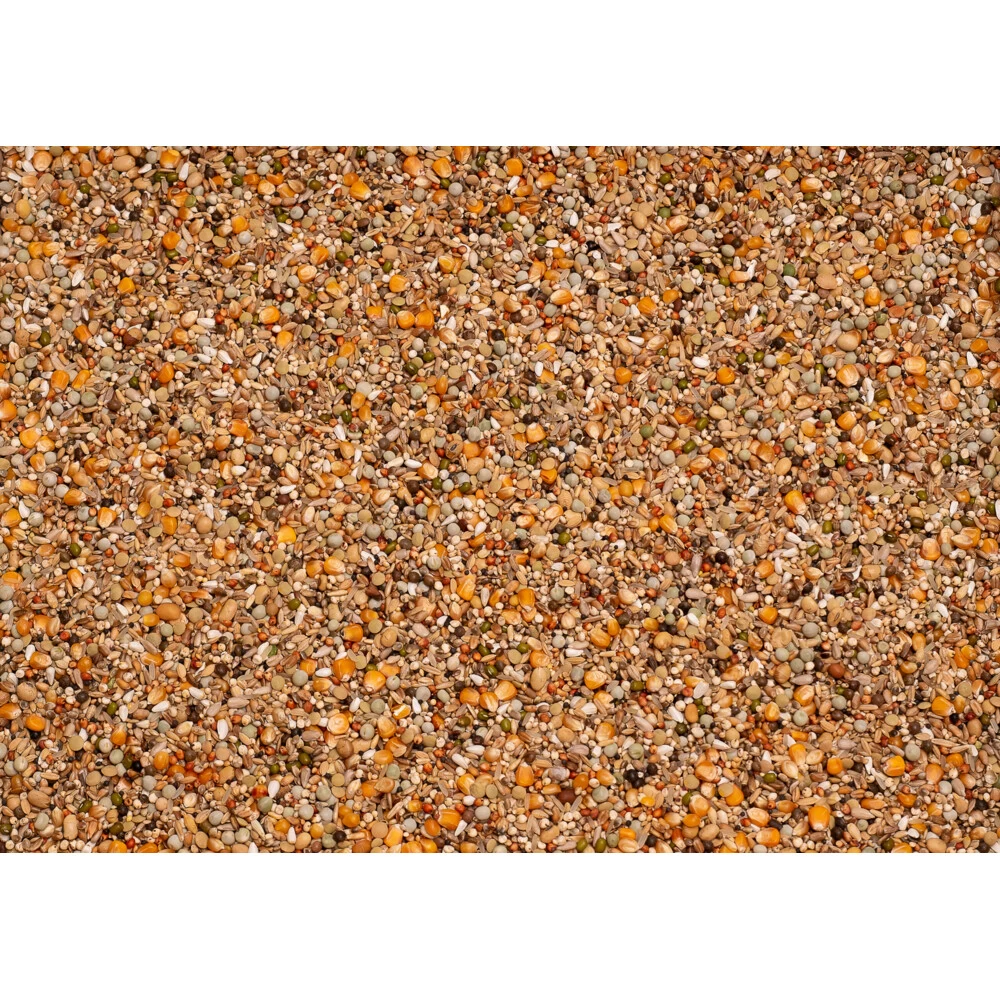 Beyers Premium Brilliant 2 Beyers Premium Brilliant - Afbeelding 2