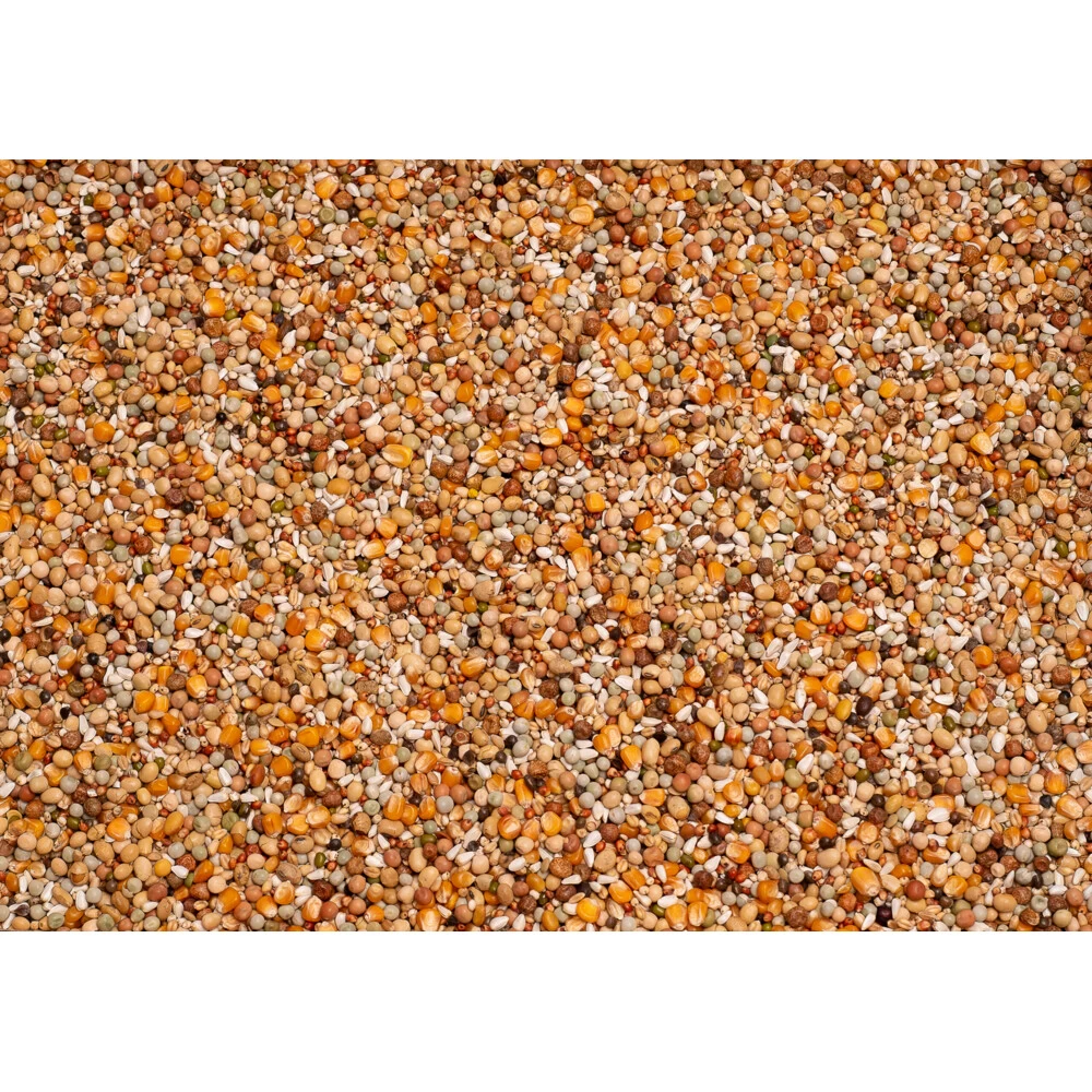 Beyers Premium Super Kweek 2 Beyers Premium Super Kweek - Afbeelding 2