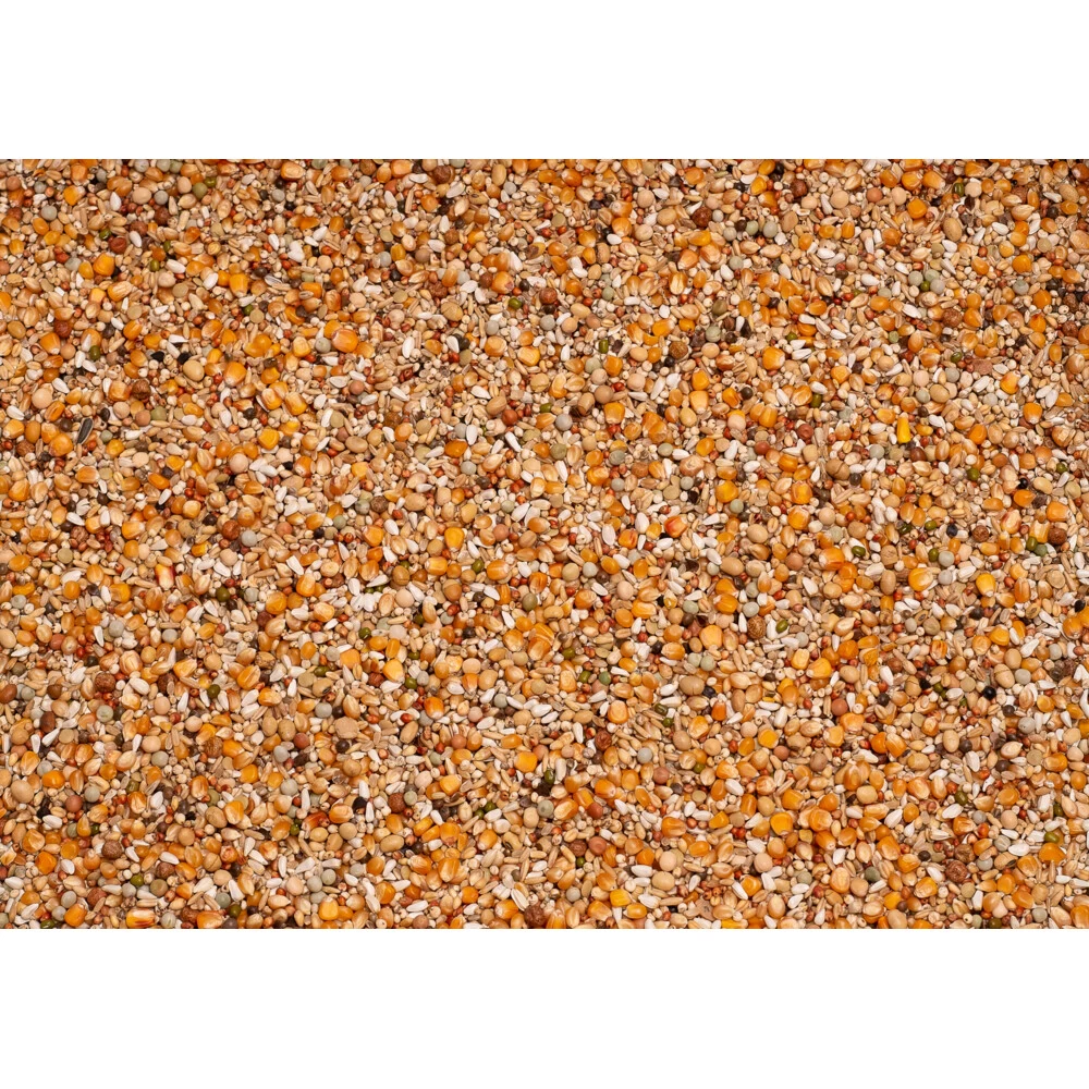 Beyers Premium Super Weduwschap 2 Beyers Premium Super Weduwschap - Afbeelding 2