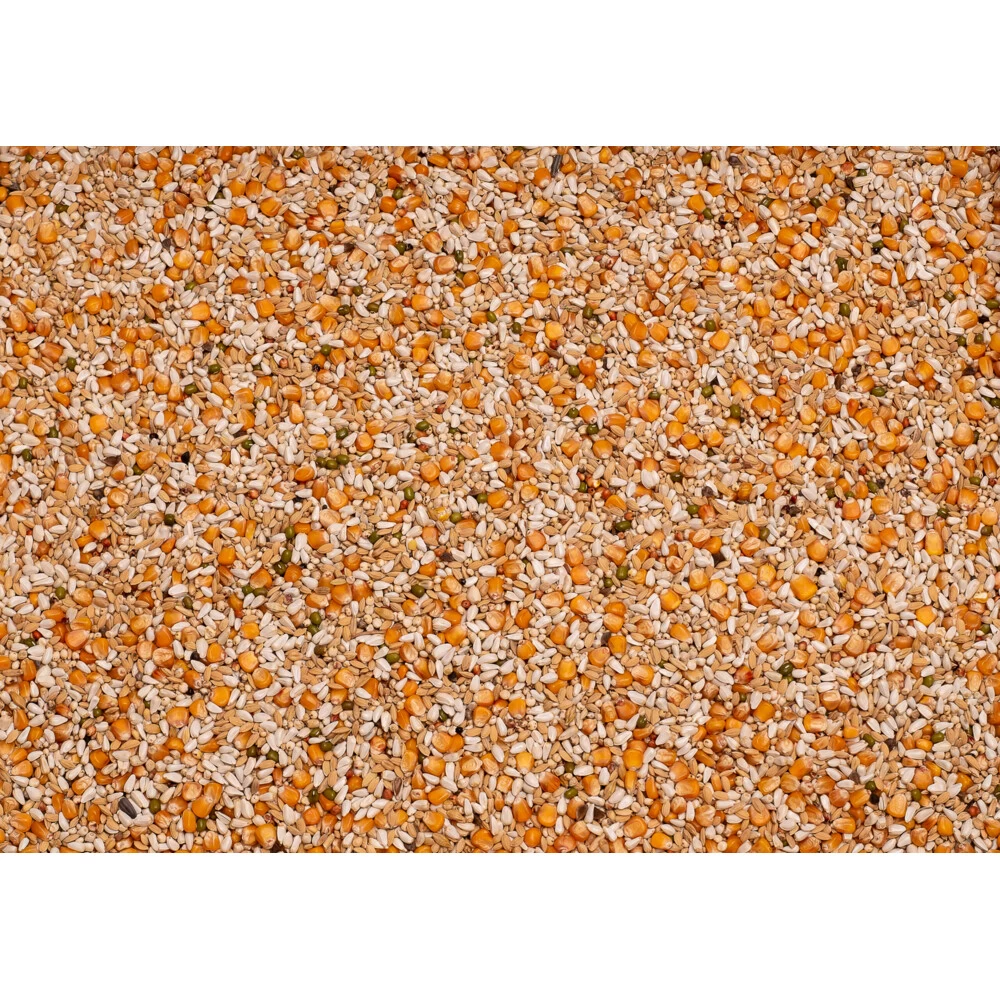 Beyers Premium Vandenabeele 2 Beyers Premium Vandenabeele - Afbeelding 2