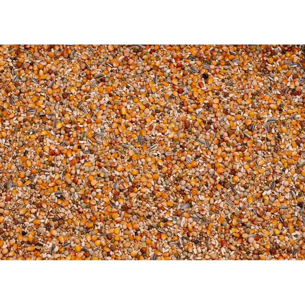 Beyers Premium Verkerk Sport 2 Beyers Premium Verkerk Sport - Afbeelding 2