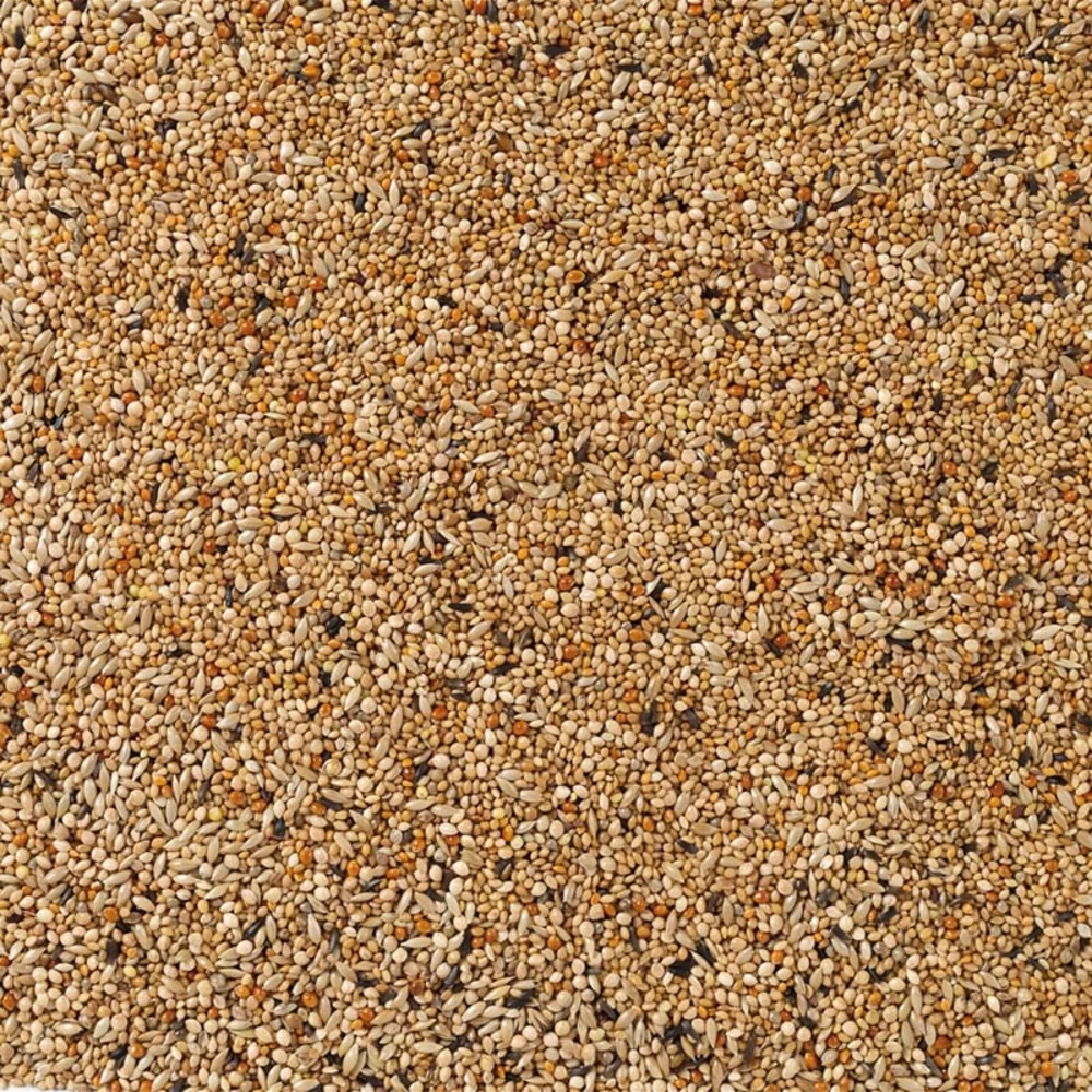 Deli Nature Kweek Exoten Nummer 41 2 Deli Nature Kweek Exoten Nummer 41 - Afbeelding 2