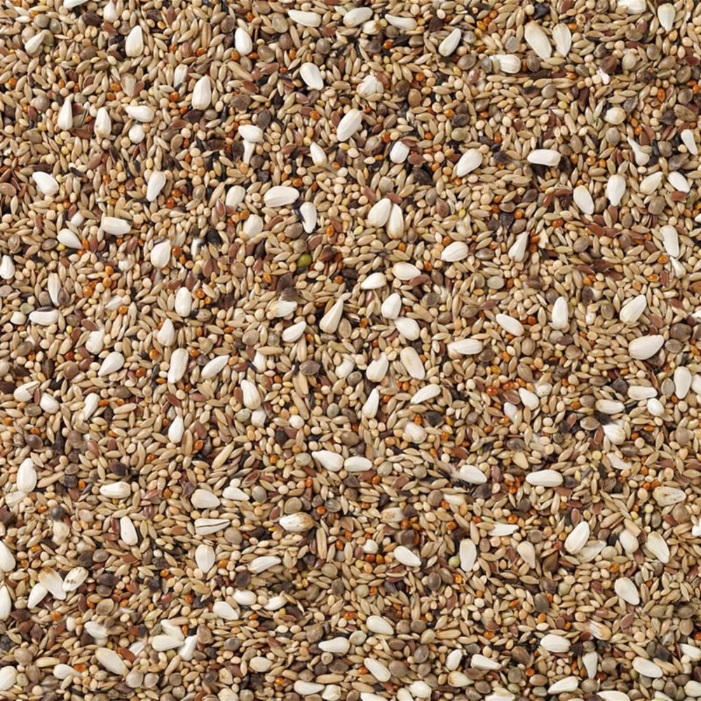 Deli Nature Agapornis Champion Nummer 72 2 Deli Nature Agapornis Champion Nummer 72 - Afbeelding 2