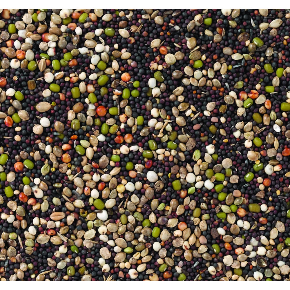 Deli Nature Kiemzaad Kanaries Nummer 82 2 Deli Nature Kiemzaad Kanaries Nummer 82 - Afbeelding 2