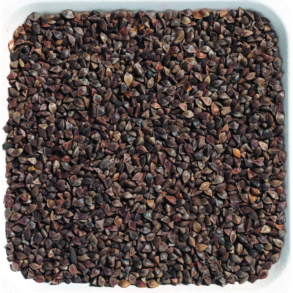 Beyers Boekweit 2 Beyers Boekweit - Afbeelding 2