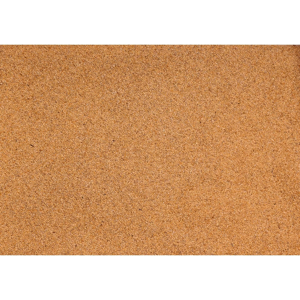 Beyers Panis Geel 2 Beyers Panis Geel - Afbeelding 2