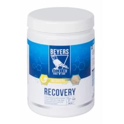 Beyers Recovery