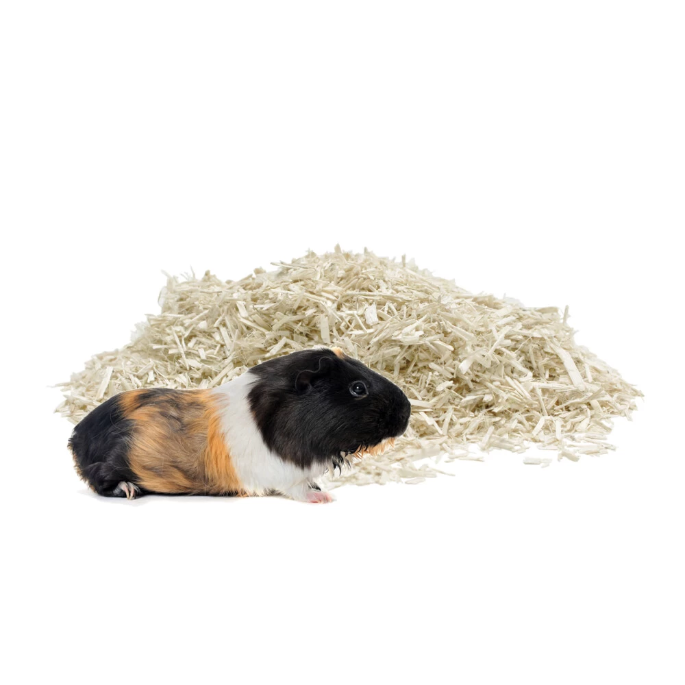 Ekoo Ekobiose En Hennep 2 Ekoo Ekobiose En Hennep - Afbeelding 2