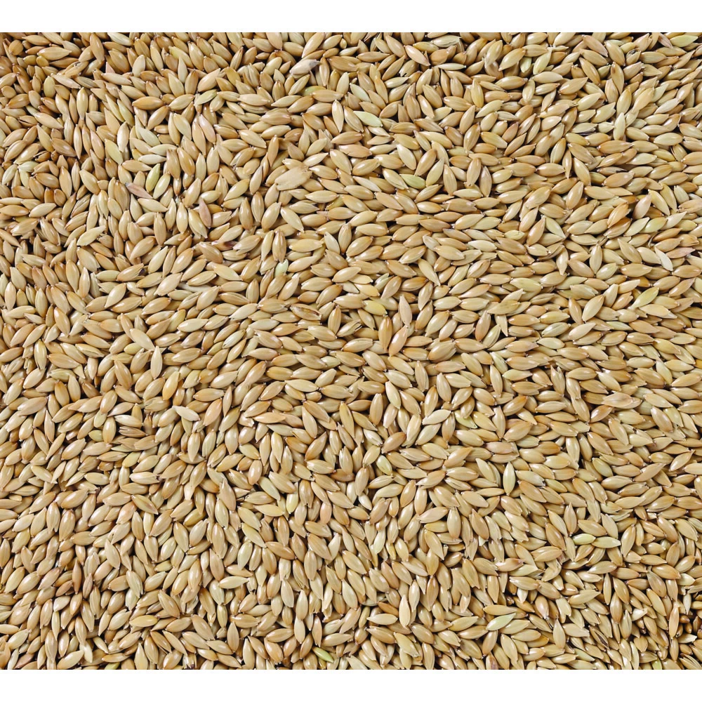 Deli Nature Witzaad Extra 86 2 Deli Nature Witzaad Extra 86 - Afbeelding 2