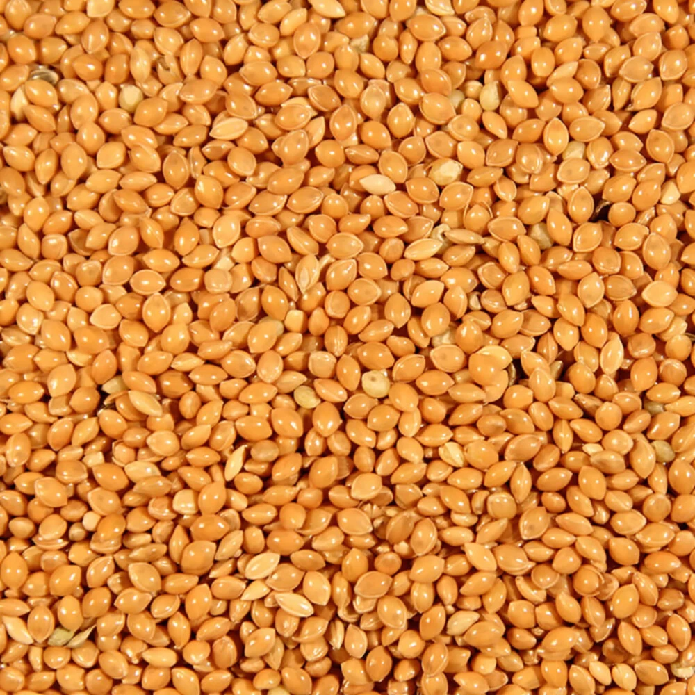 Deli Nature Millet Geel 2 Deli Nature Millet Geel - Afbeelding 2