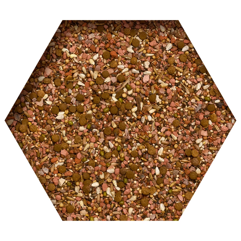 Beyers Detox Mineral Mix 2 Beyers Detox Mineral Mix - Afbeelding 2