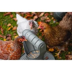 Beeztees Speel- En Snacktoren Voor Kippen Grijs -Huisdierbenodigdheden Verkoop 1059397 5