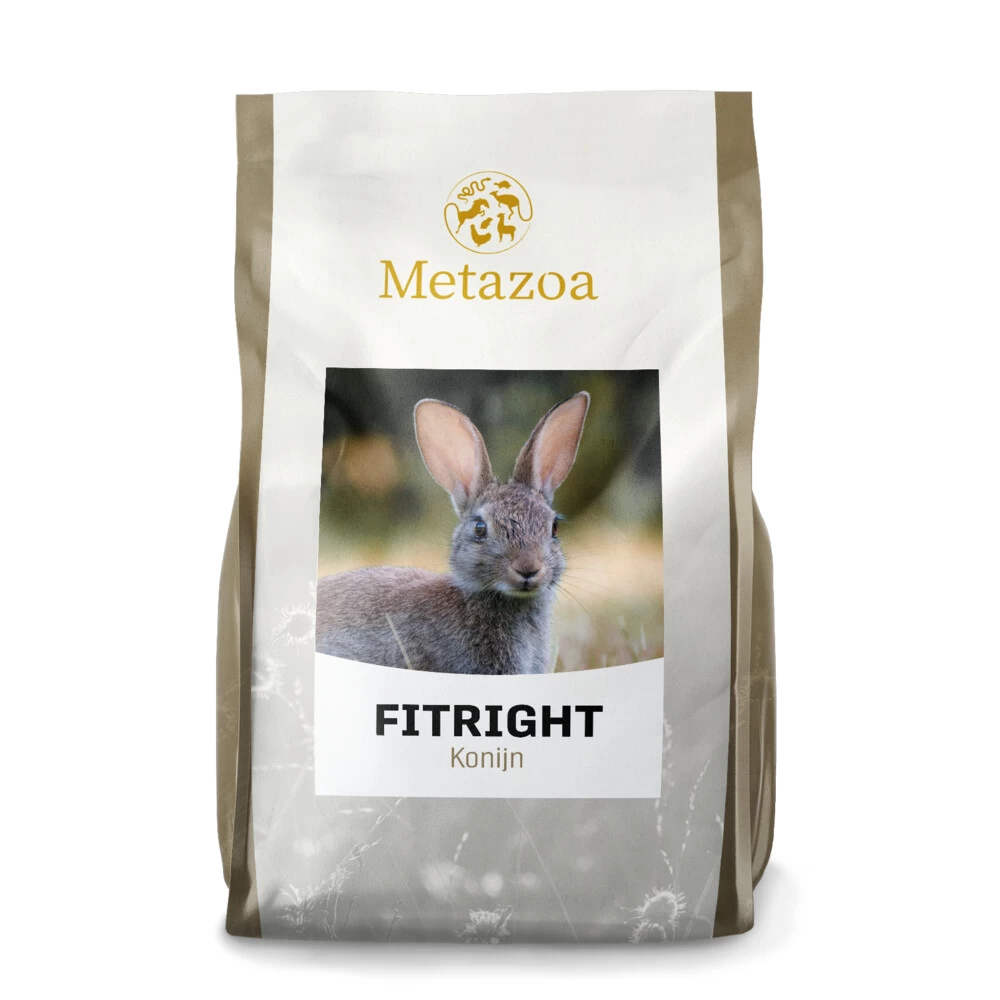 Metazoa Fitright Konijn 1 Metazoa Fitright Konijn