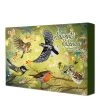 Baza Bird-Buffet Advent Kalender Green Garden