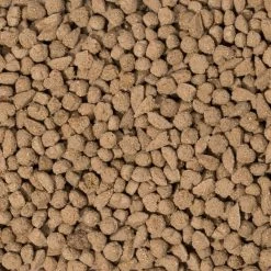 Huisdierbenodigdheden Verkoop -Huisdierbenodigdheden Verkoop 747390 2