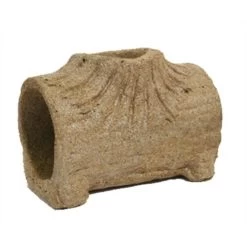 Rosewood Eetbare Speel Boomstam