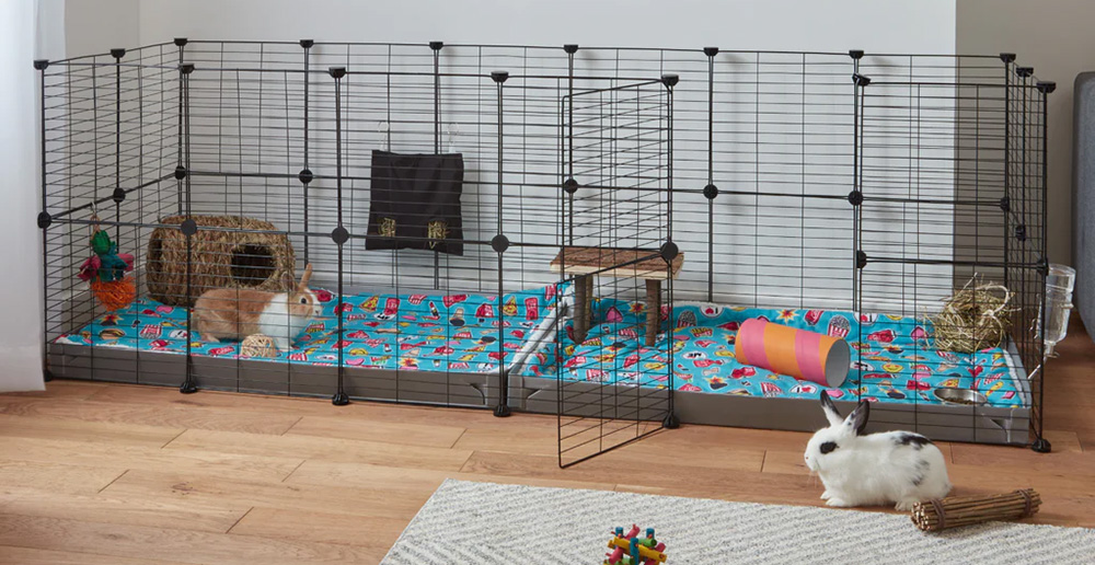 Huisdierbenodigdheden Verkoop 1 Huisdierbenodigdheden Verkoop -Huisdierbenodigdheden Verkoop 1